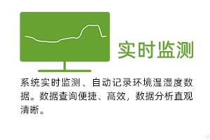 實(shí)時監(jiān)測：系統(tǒng)實(shí)時監(jiān)測、自動記錄環(huán)境溫濕度數(shù)據(jù)。 數(shù)據(jù)查詢便捷、高效，數(shù)據(jù)分析直觀清晰。